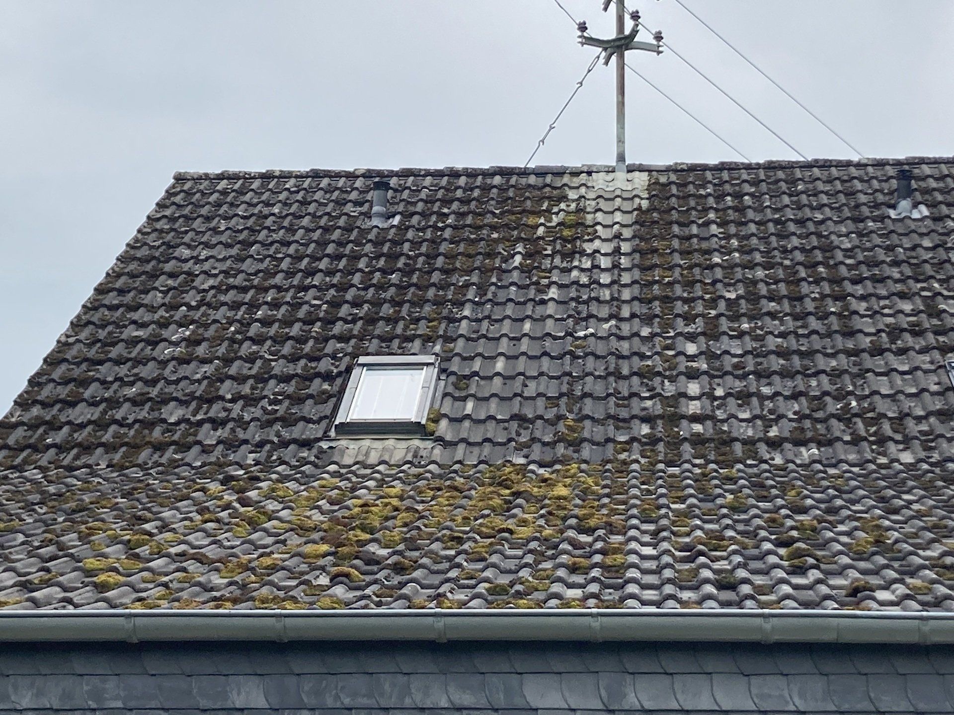 Dach vor der Reinigung, stark bemoost